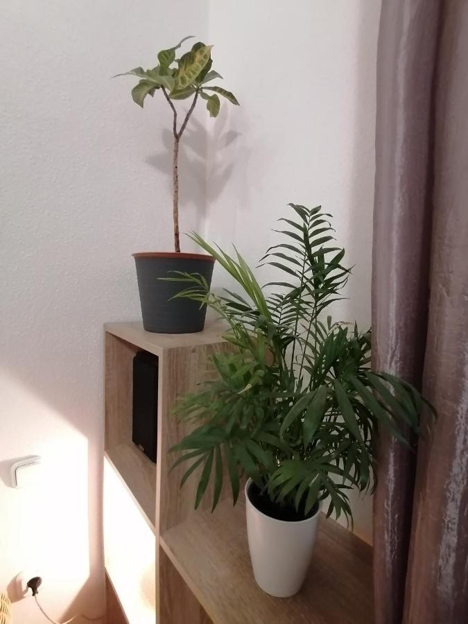 A Jump From Downtown Apartman Budapest Kültér fotó