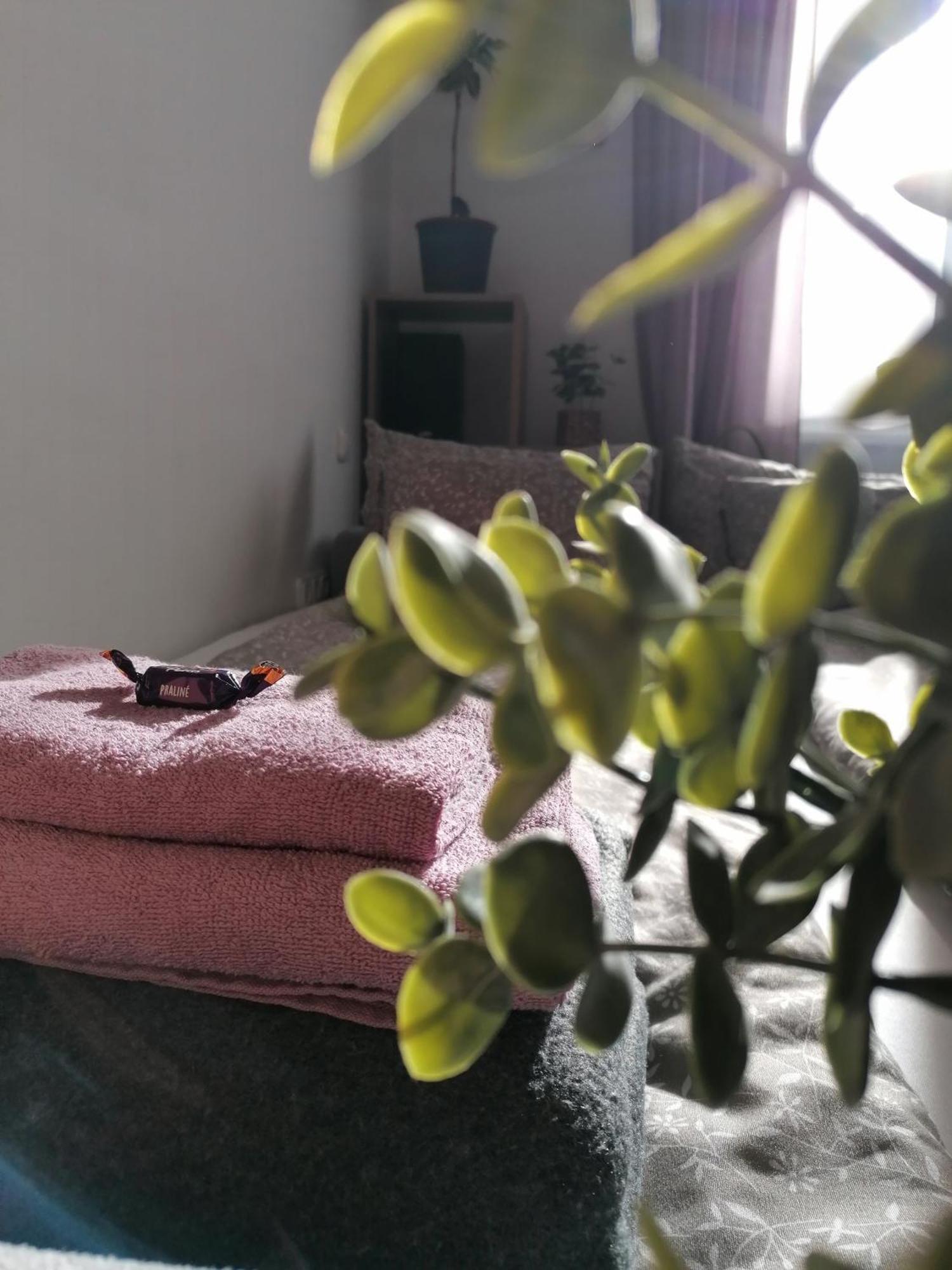 A Jump From Downtown Apartman Budapest Kültér fotó